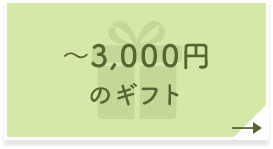 ～3,000円のギフト