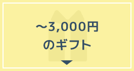 ～3,000円のギフト