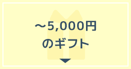 ～5,000円のギフト